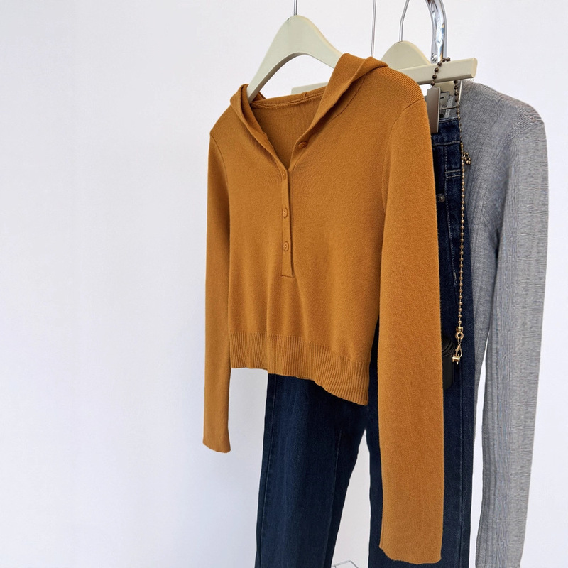 Korean Orange Hooded Knitwear for Women, Spring & Fall Sexy Slim Knitwear, Bottoming Shirt, Waist-Cinching Short Top, Winter Korean Orange Hooded Knitwear for Women, Spring & Fall Sexy Slim Knitwear, Bottoming Shirt, Waist-Cinching Short Top, Winter