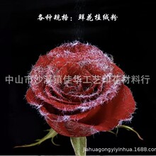 ӡ��ֲ�që�� �}�Q��ֲ�qӡ�� ֲ�q�}�Q�� ѩ���që �o�ֲ�qӡ��