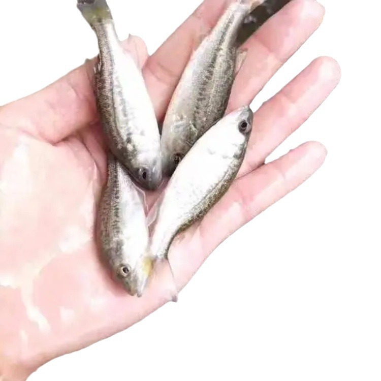 2024-05-22 18:13:06.jpg