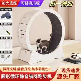 猫咪跑步机宠物猫爬架清仓圆筒滚轮静音运动健身大型猫玩具猫跑轮