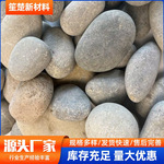 批发鹅卵石工程铺路石子水池造景变压器过滤建筑河卵石铺路河卵石