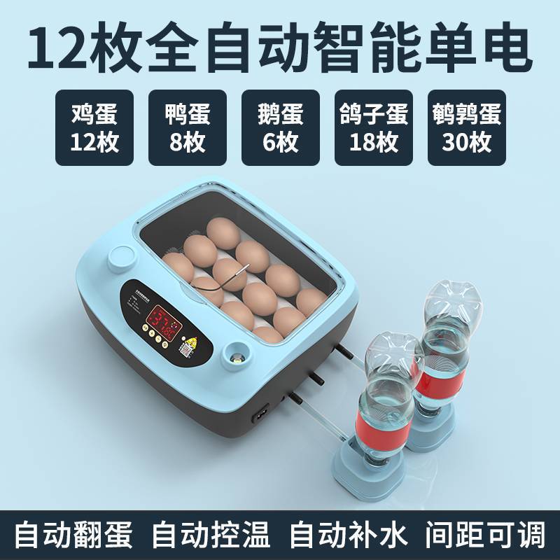 Azul 12 electricidad única