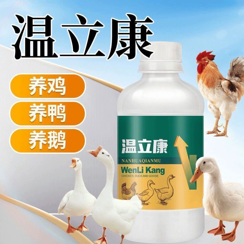 Венликан курица, утка, гусь, птица, голубь, меланхолические перья, рассыпчатые и безнадежные, готовые к использованию в птицеводстве.