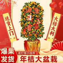 ��ۘ����Ԏ����͏d�Gֲ�҃ȴ���ֲ��������Ә��绨����۽ۘ�