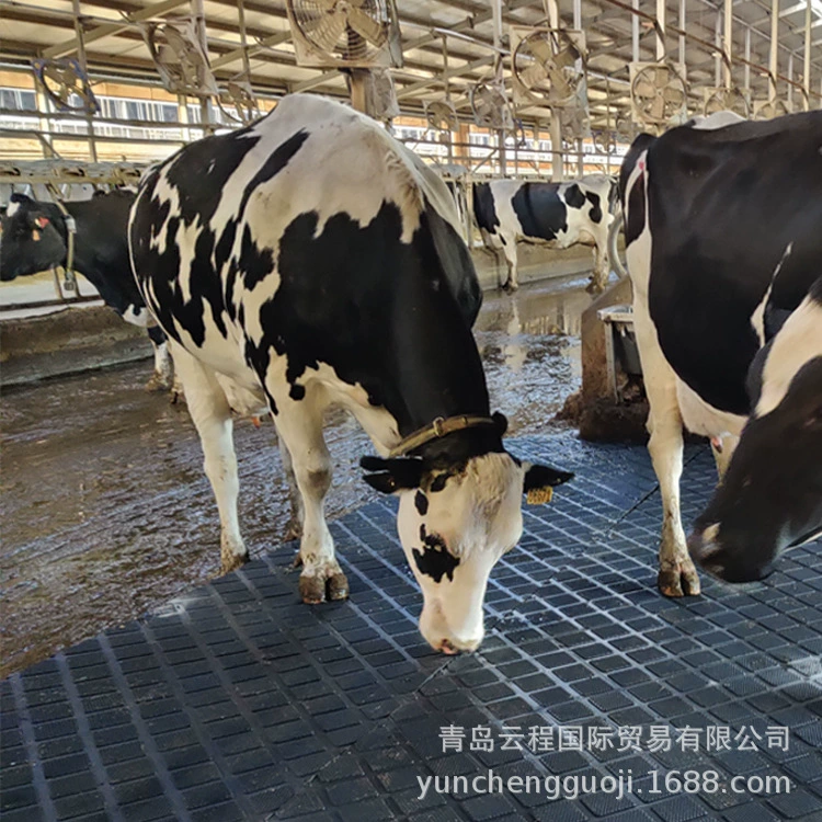 Прессформа экспорта циновки сарая коровы 1830*1220*17 мм резиновая интегрировала прессформу прочную и сильную