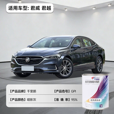 Change, Metallic Paint, Car Paint, Avtomobil boyası - regal-lacrosse-shadow-gray-gpi-1lcan-liquid-paint