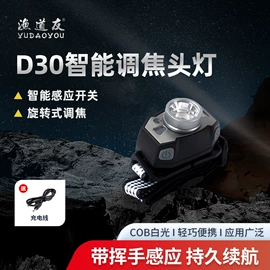 钓鱼灯;夜钓灯;头灯头戴电筒