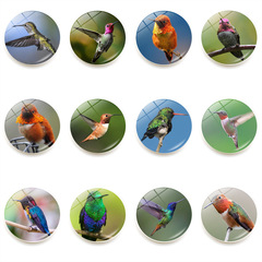 Animal Bird Hummingbird Refrigerator Magnet Crystal Glass Soft Magnetic Whiteboard Peel and Stick Magnet Decorative Sticker 25mm