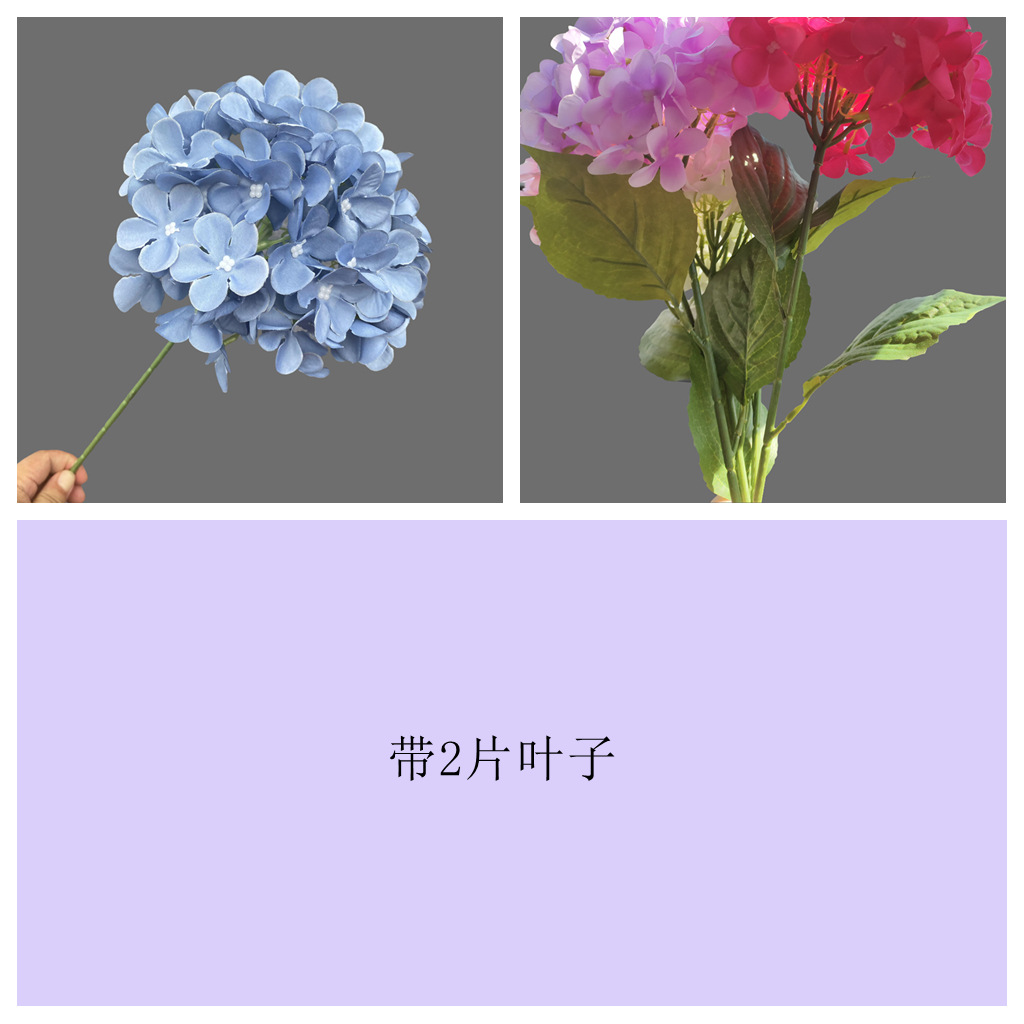 72개입 잎사귀 달린 잉크 블루