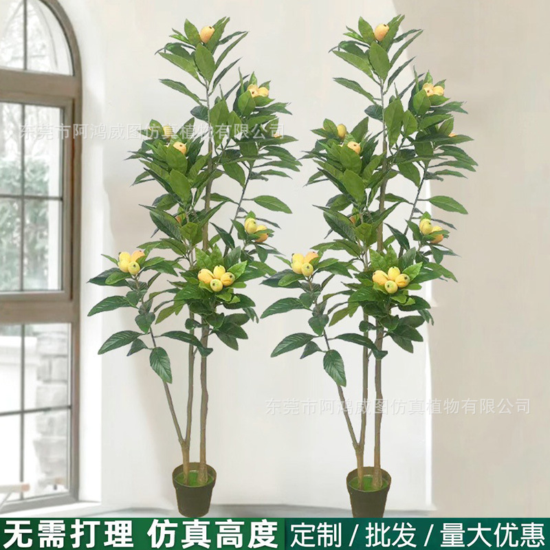 仿真枇杷树柠檬树苹果树盆栽仿果树盆景客厅橱窗酒店绿植装饰厂家