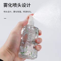 Women's perfume body spray fresh and long-lasting light fragrance 100ml floral and fruity car perfume for women wholesale