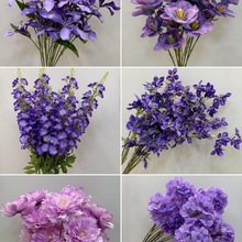 ɫϵcٻYb廨픻̈쾰н