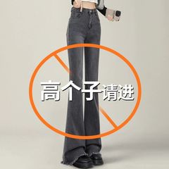 秋の新作ロングパンツ、背の高い女性向け、スモーキーグレー、ハイウエストデニム、ややフレアパンツ、フロア丈、馬蹄型フレア、175cm