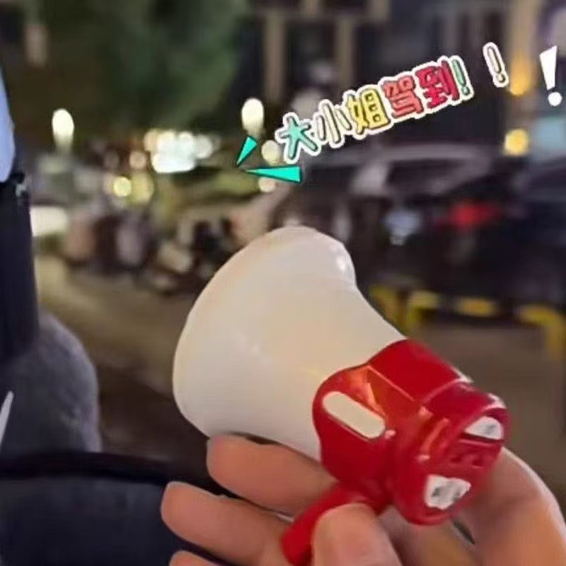 子供の録音の小さいラッパの精巧なネットの赤いかわいいキーホルダーのかばんのペンダントの個性はアクセサリーの雰囲気のおもちゃを整えます。