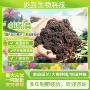 高温发酵植物生物有机肥