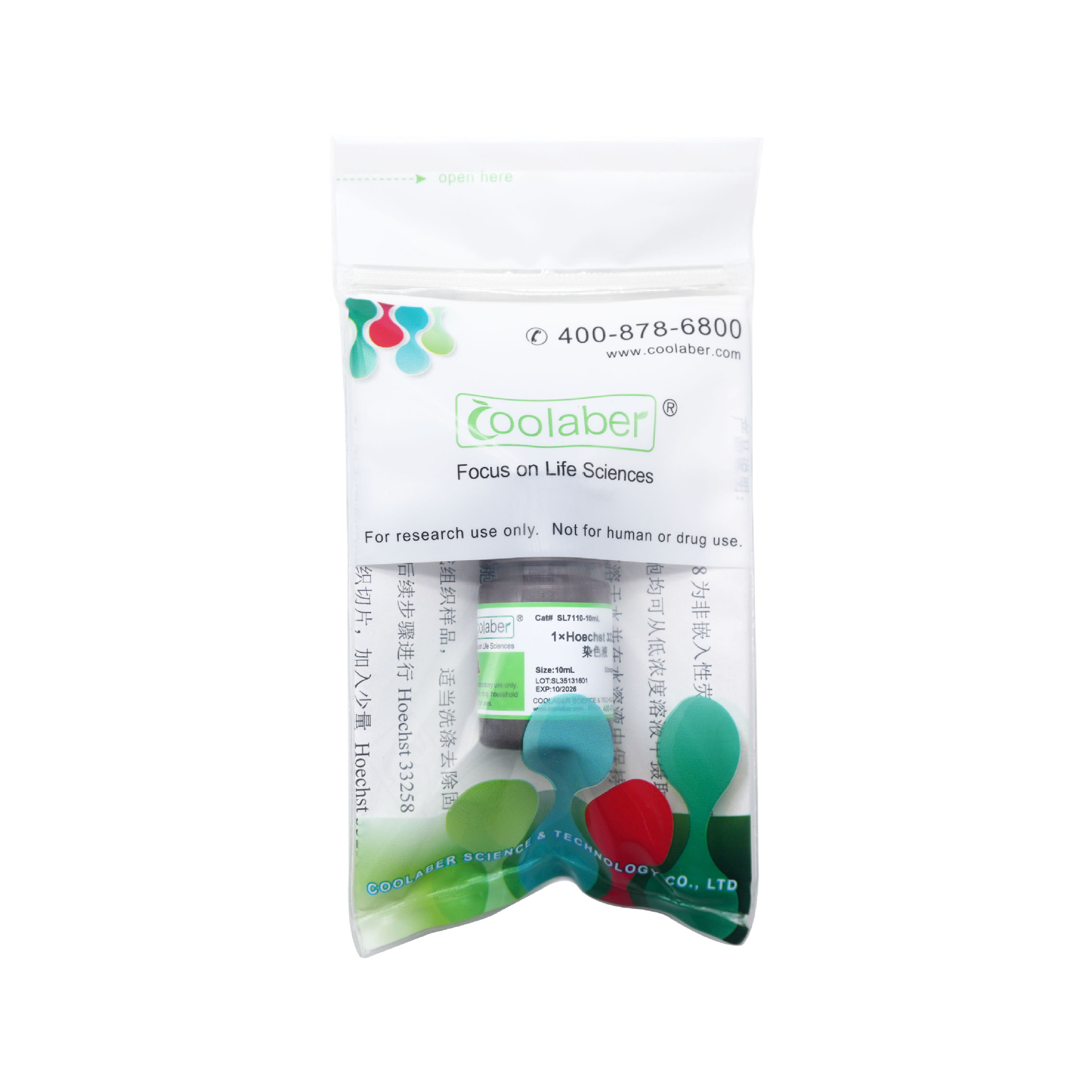 1×Hoechst 33258染色液（即用型）