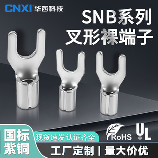Cnxi Huaxi Technology Snb Fork Type Bare Terminal U-Shaped/Y-Shaped Cold-Pressed Terminal Block Copper Thickeneded National Standard Wire Nose