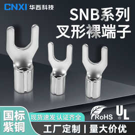 CNXI华西科技SNB叉型裸端子U型/Y形冷压接线端子紫铜加厚国标线鼻