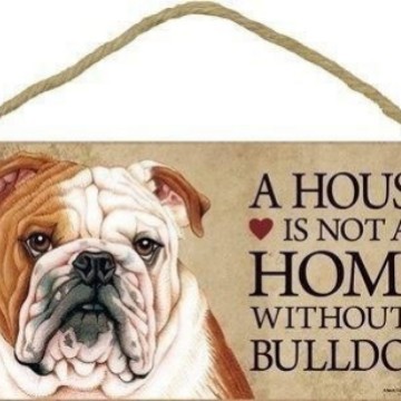 M사이즈 20(10x20cm)