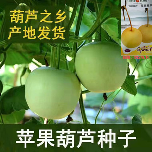 �O�����J�N�Ӵ�ȫԭ�b����С�A��С�����J�N�ѿ�ʳ���ļ��߲˷N��