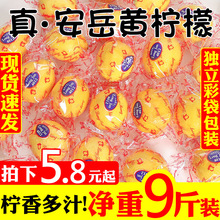 四川安岳黃檸檬新鮮水果現摘精選一級10斤整箱飲品非無籽青香水包