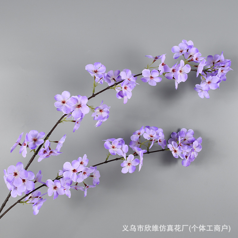 梨花紫色
