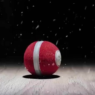 Wicked Ball�Ԅ������� ���ܶ�؈��ߌ�����߿�ҧ���؈�䌙����
