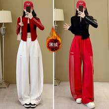 2026�괺���¿�q�_�����������Ӻ񏝵�ѝ�r���@�����b�赸��