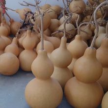 ��Ȼ���J����С̖���J��ˇƷ�[�� �ش���������J���l