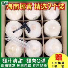 海南椰青新鲜椰子2/4/6/9个装孕妇水果香椰皇去皮一整箱特产包邮