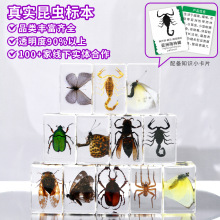 ǧ���x��֬���z���x�˱����xϐ�ӄ������격���^��ˇƷ�YƷ�ֹ�