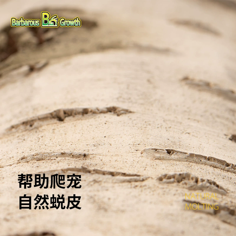 Моделирование рептилии березы, чтобы избежать пещеры