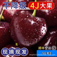 ���B�������Ҵ���Fժ�F�lˮ��܇�������r����l؛��S�ЋD�냺