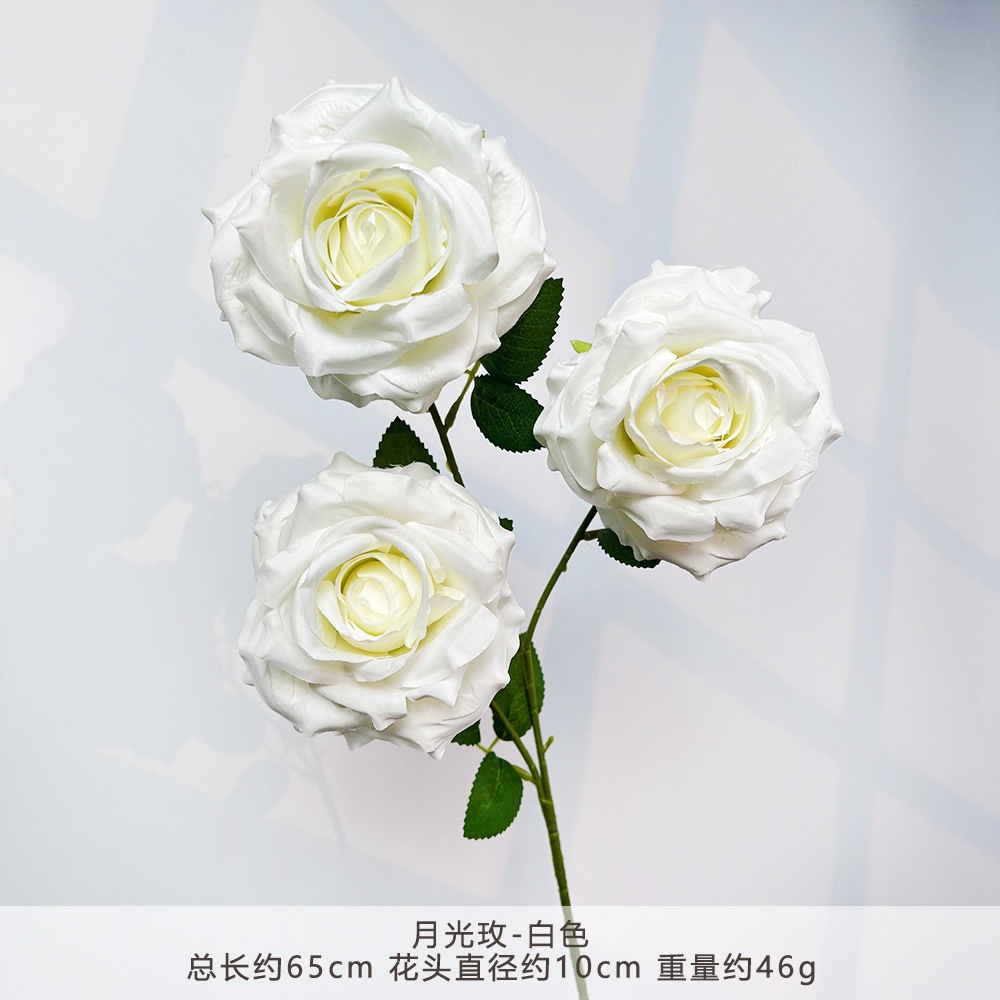 MJ-มูนไลท์ โรส-ไวท์