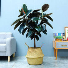 ڽƤļGֲԿ͏dֲ̨҃k辰~