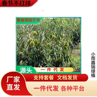 �F���� �F������ �����ӽ��T�F��С�������� �޽ӹ������ϱ����N