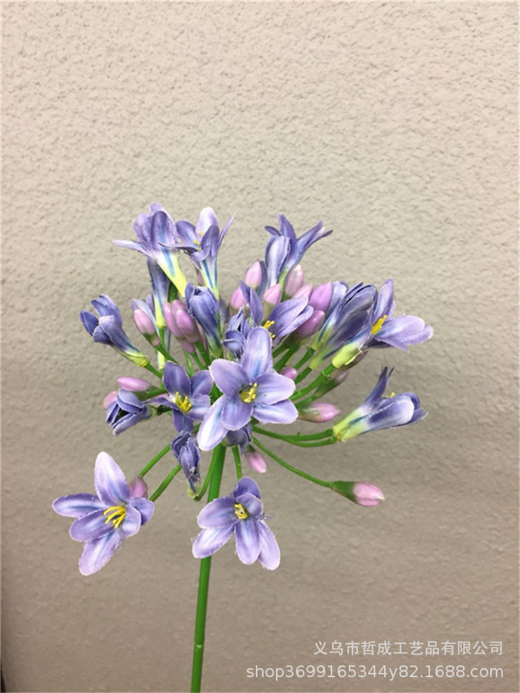 TB21xmFwyCYBuNkSnaVXXcMsVXa_!!