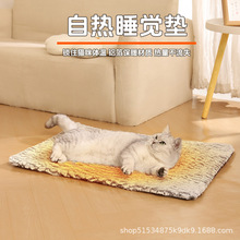 ����|������ů�԰l��؈�C�|���i�ؿɲ�ϴѩ���q؈�C���C������Ʒ