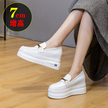 ƤСЬŮ߰Ьn\eŮЬ2025괺¿ٴ