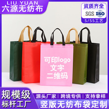 无纺布袋手提袋定制印字服装购物环保袋培训班广告袋子定做印logo