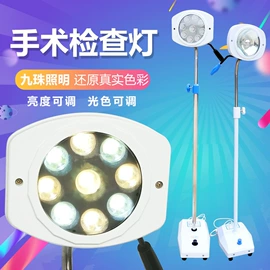 美容台;医疗灯具;狗狗窝/笼/垫