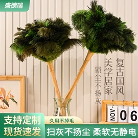 除尘掸;羽毛、羽绒;其他家务清洁