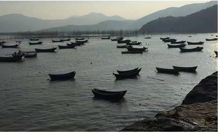 微信图片_20211026180243