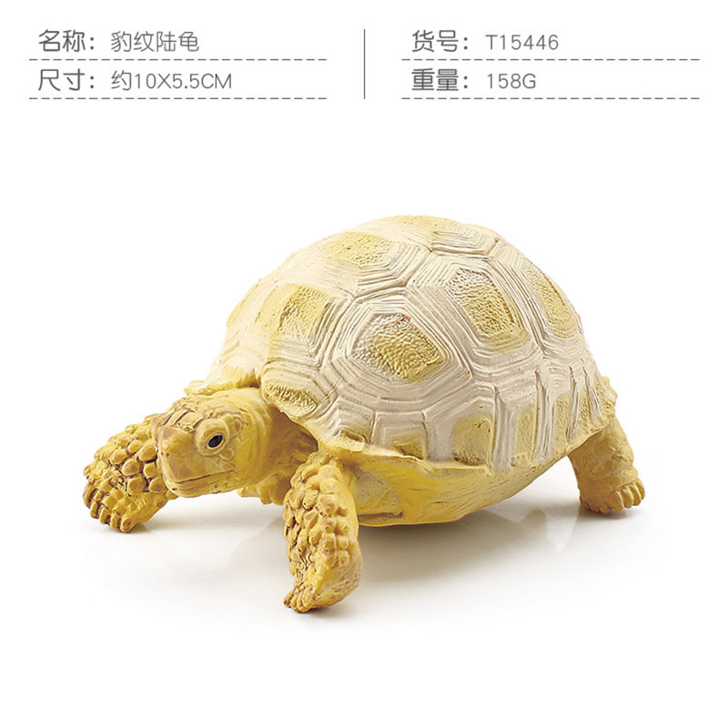 Transfronteriza Nueva simulación anfibio reptil modelo tierra tortuga elefante tortuga estrella tortuga estática decoración cognitiva decoración juguete