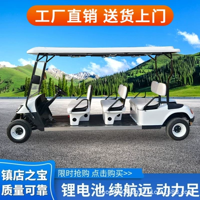 Elektrikli qolf avtomobilləri Four-Wheel Sightseeing Car, Hotel