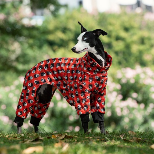 Cross-border Amazon dog pet sunflower print high collar clothing fashionable autumn and winter bare belly four-legged clothes pet clothing