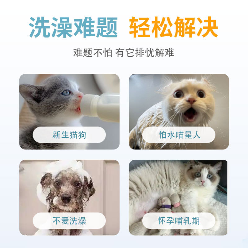 宠物免洗手套狗狗猫咪通用一次性宠物清洁湿巾免洗清洁用品|undefined