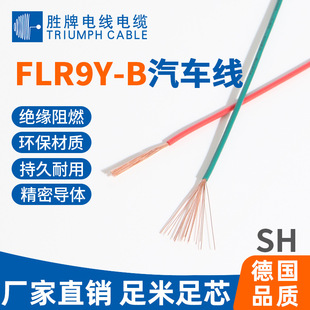 FLR9Y-B��܇���� �x�������̖��· �͜�125�� ���~ PP�^�� �F؛