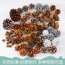 跨境松果装饰松塔橡果干花手工diy森林幼儿园干树枝野生创意摆件