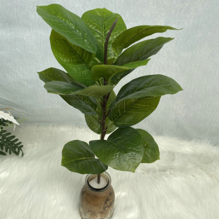 15�~���U���ј���Ƥ�����~�Ř�ӡ�z������Gֲ�����b[��